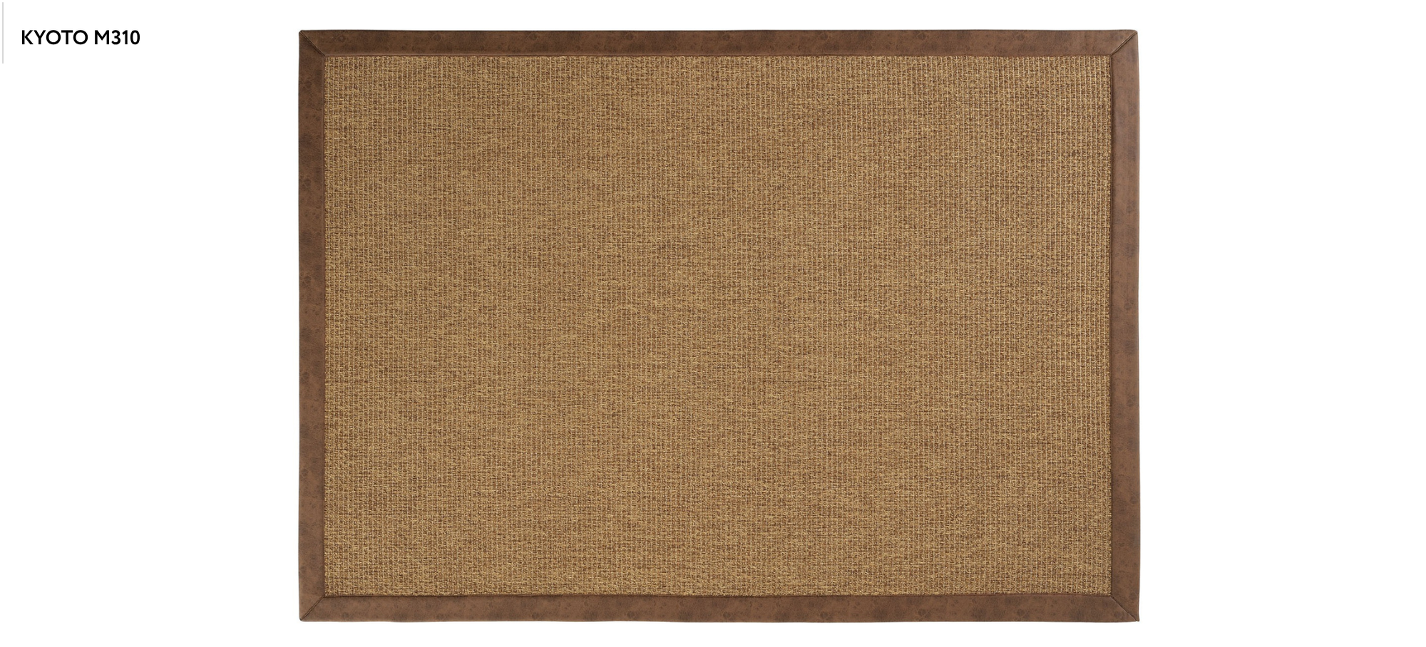 KYOTO M310
