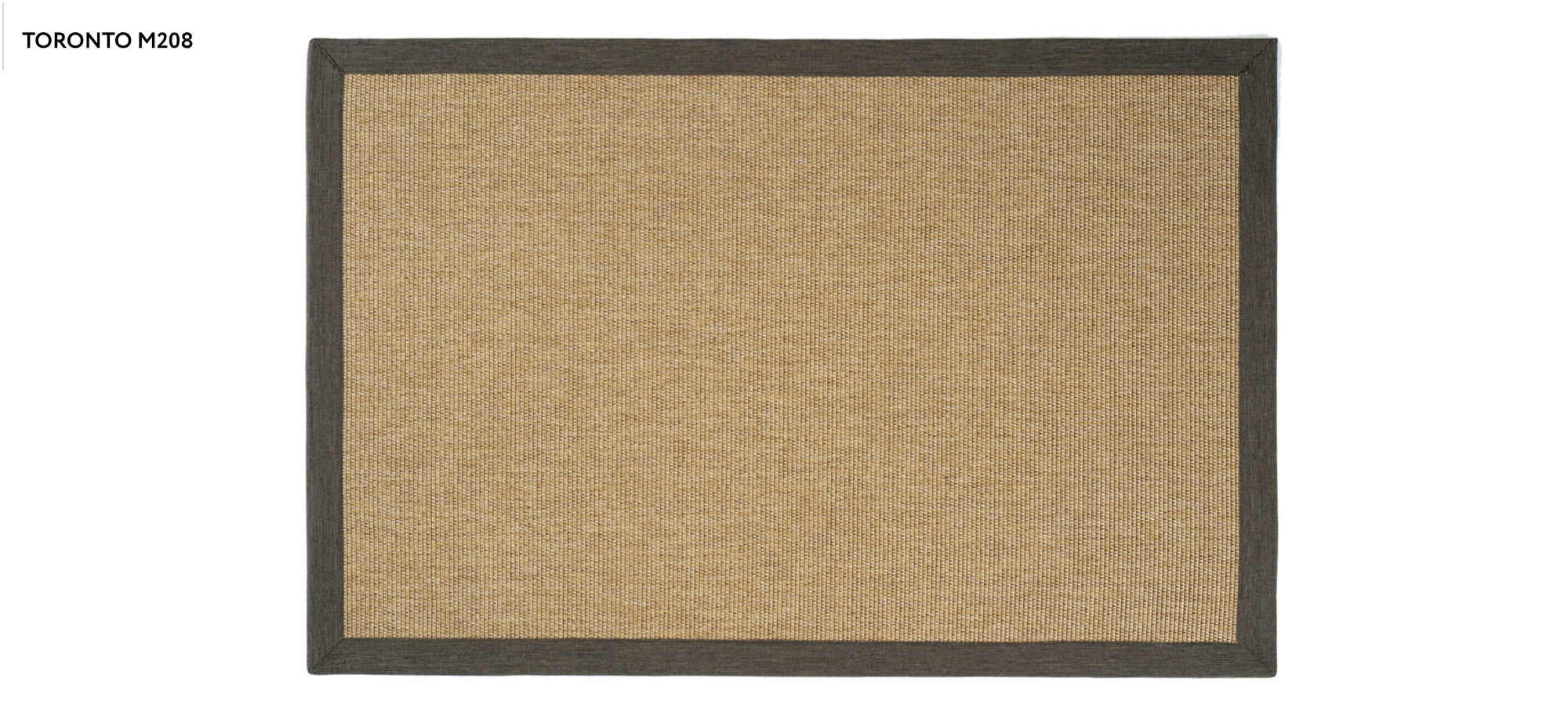 TORONTO M208