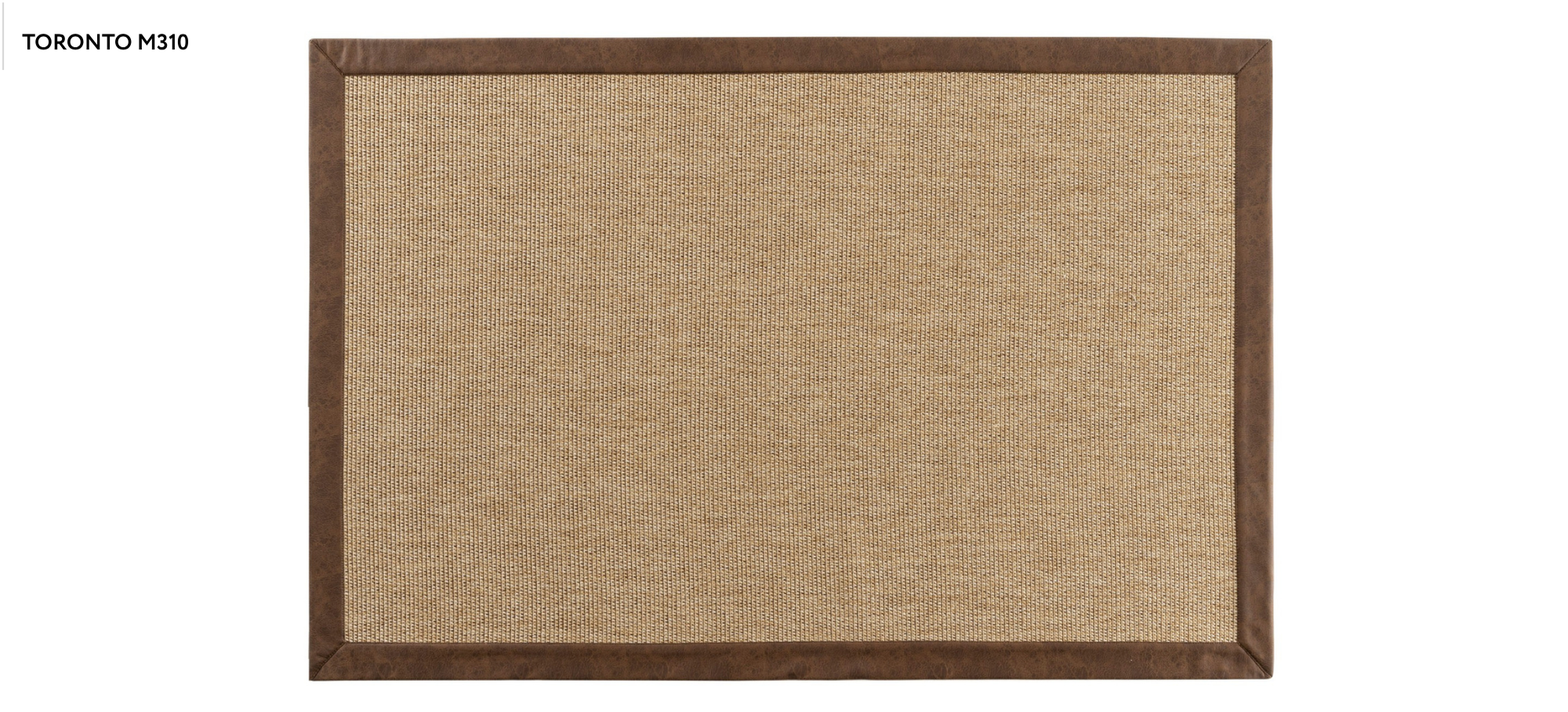 TORONTO M310